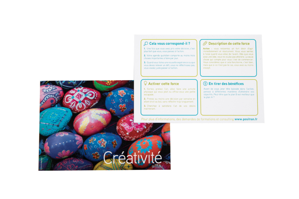 Cartes_des_forces_exemple_2_FR