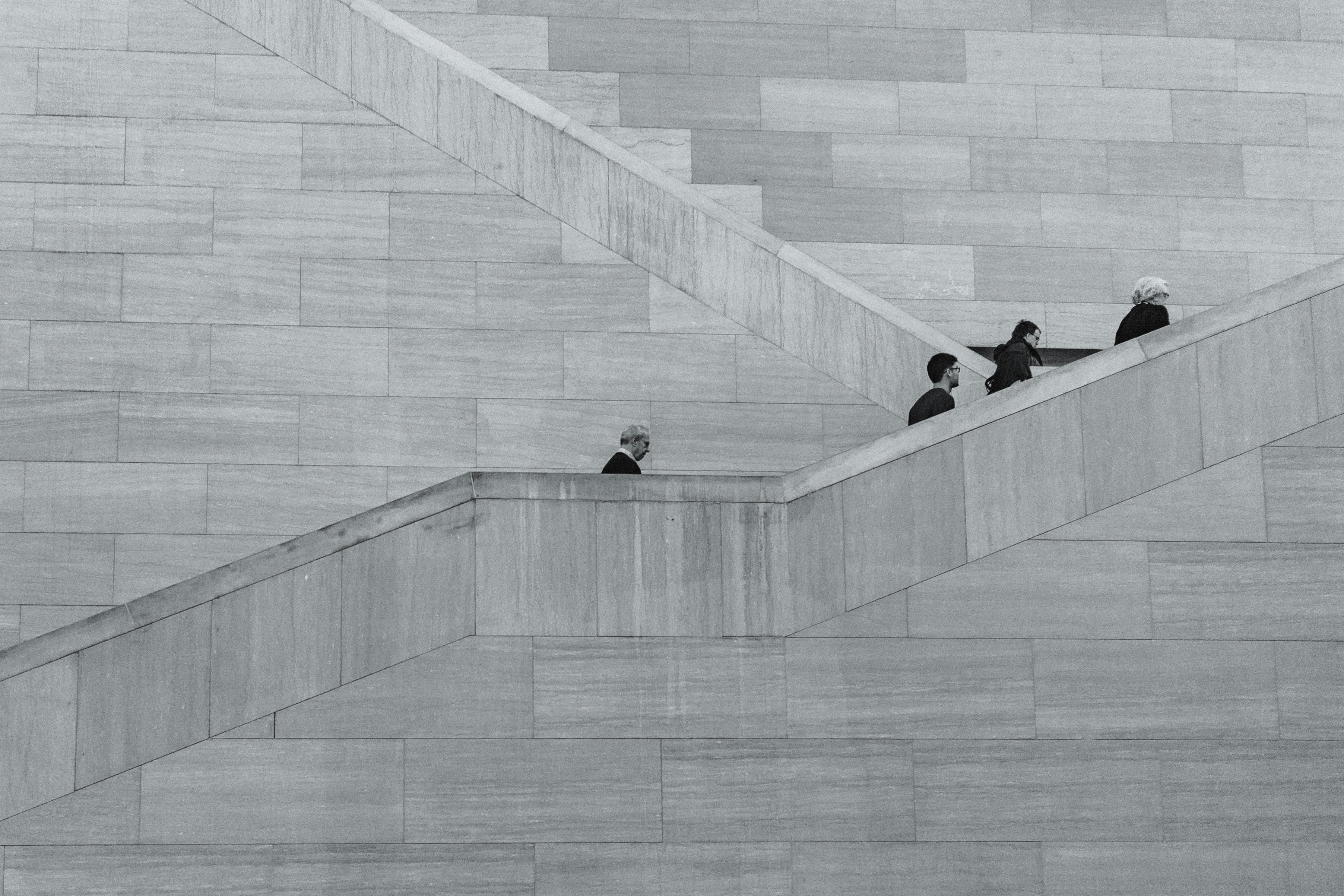 Organisational Diagnosis - The PULSE Positive Organisational Profile