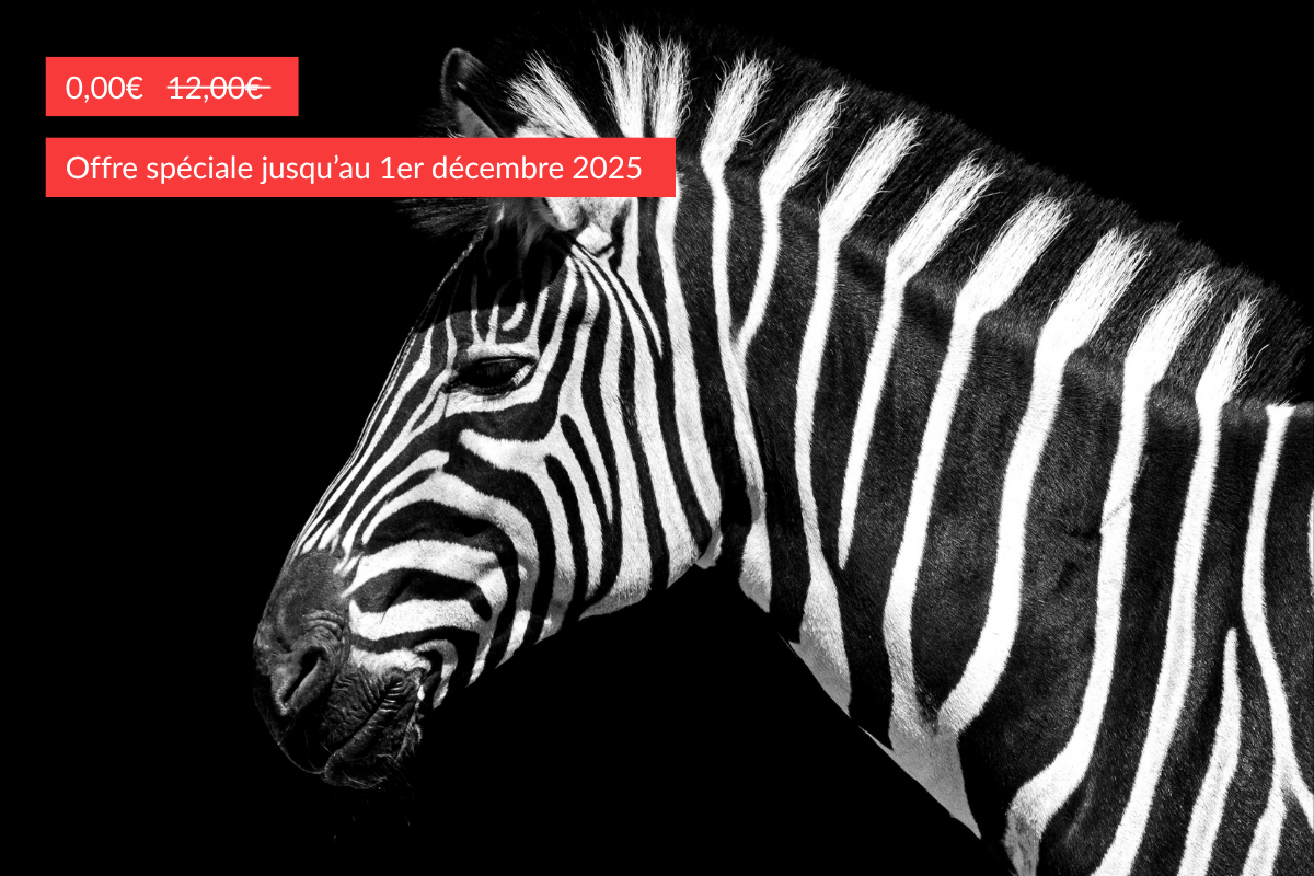 Individual Digital Diagnostic - SOLO+: Discover your strengths and find the best way for it