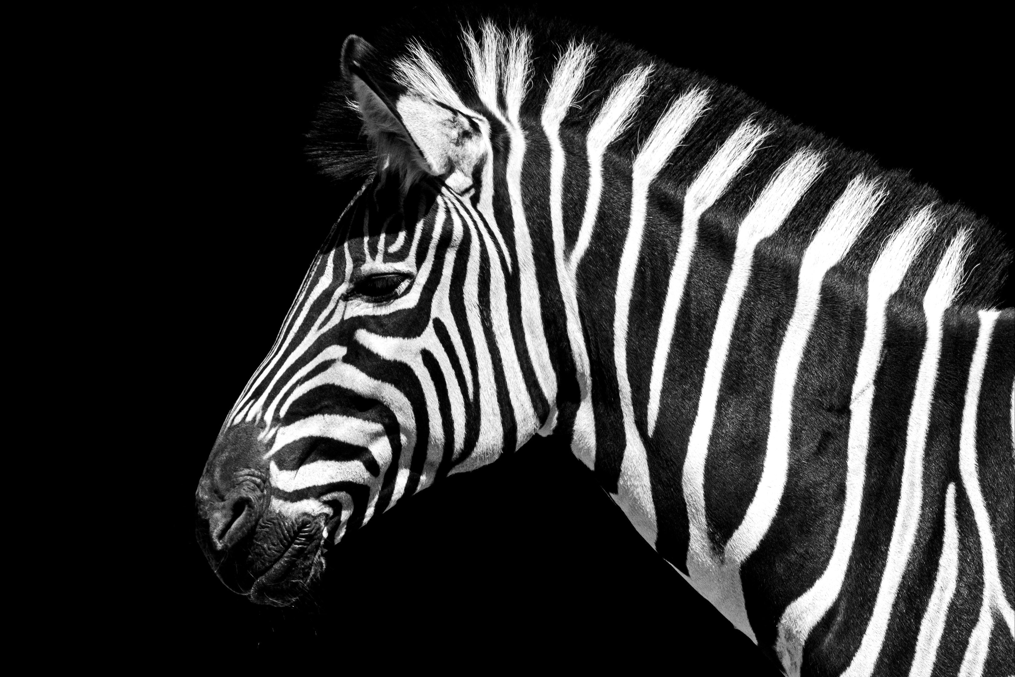 Individuelle digitale Kompetenzanalyse – SOLO+: Meine Stärken entdecken