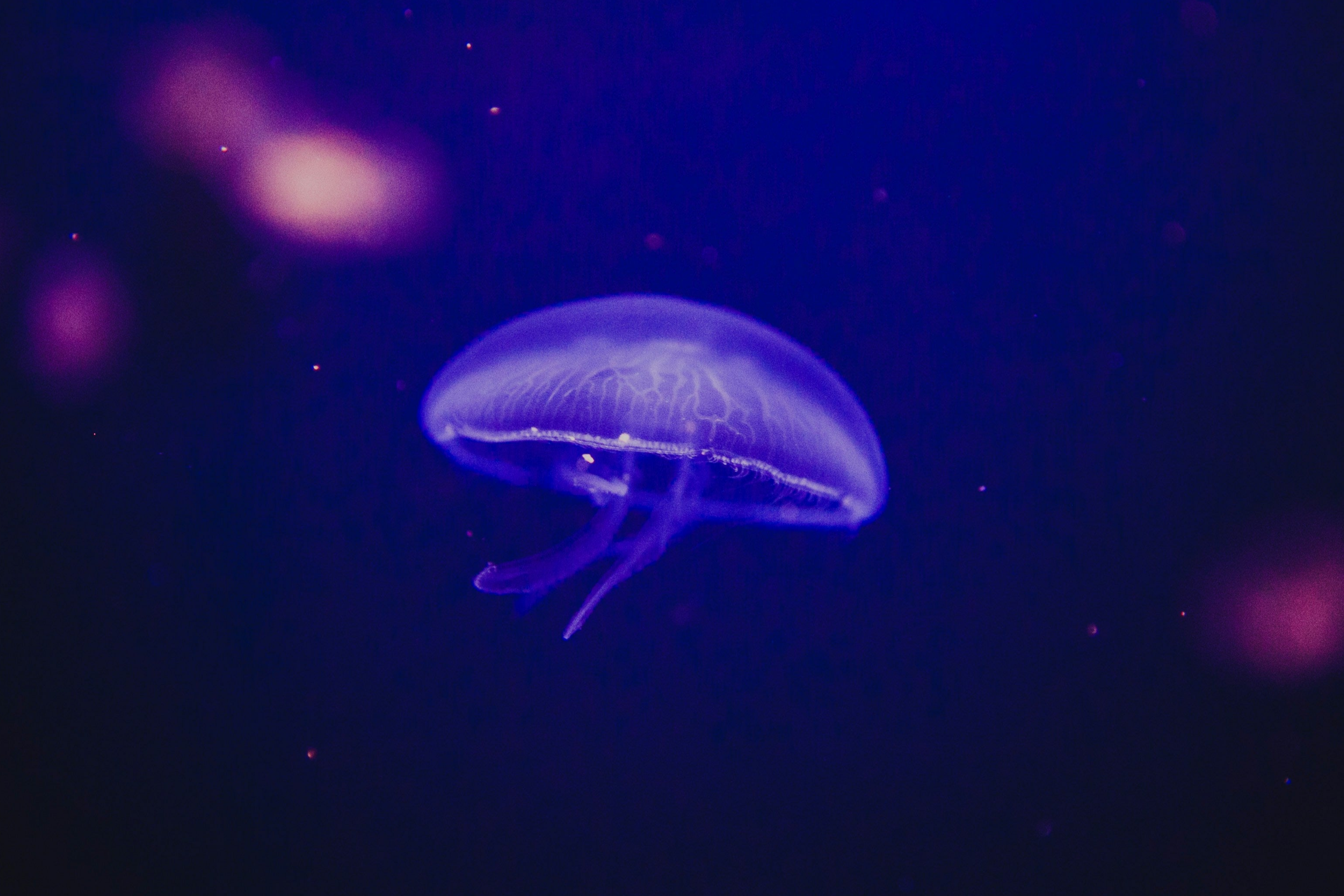 Facilitation Programme - Become a certified SPARK Resilience® facilitator 1/2