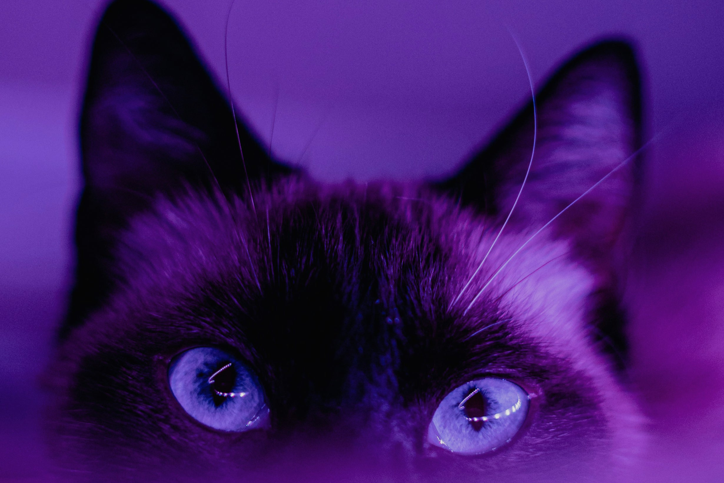 Facilitation Programme - Facilitator's edge: art & science of engaging delivery