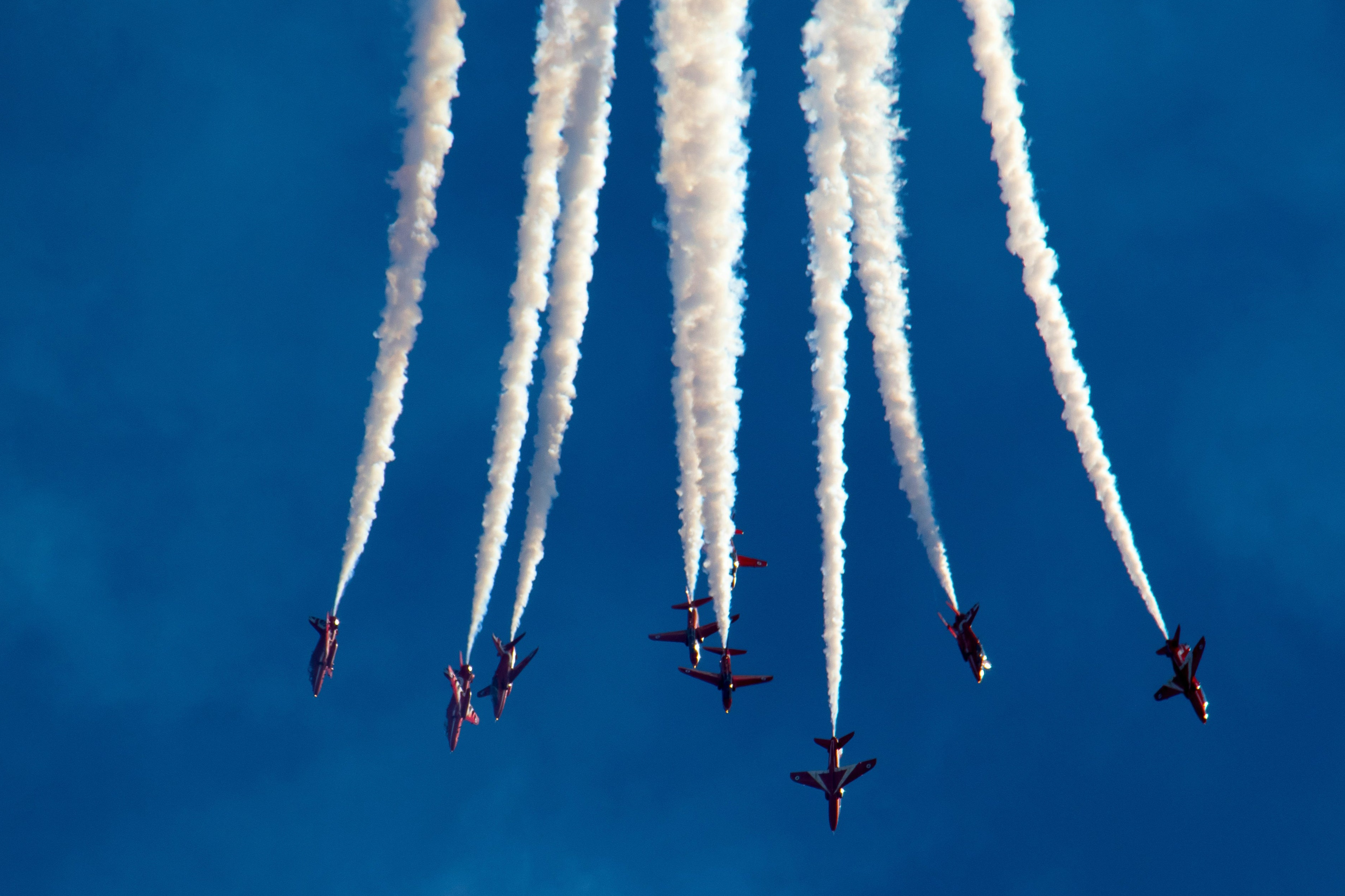 Top 5 Trainings – Kollektives Genie entfesseln