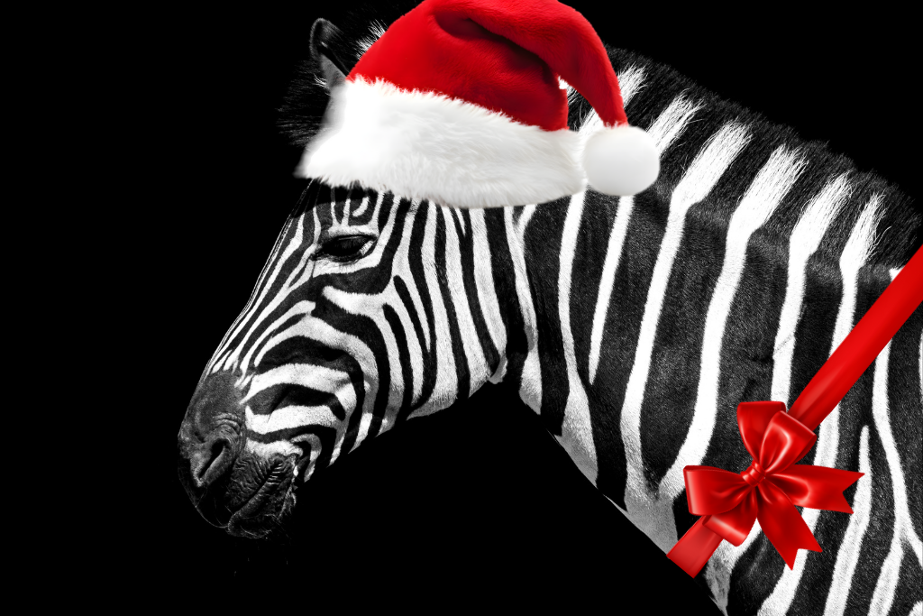 Individuelle digitale Kompetenzanalyse – SOLO+: Meine Stärken entdecken