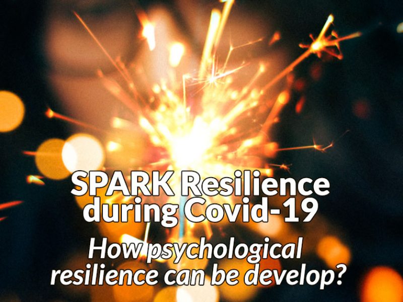 SPARK Resilience study